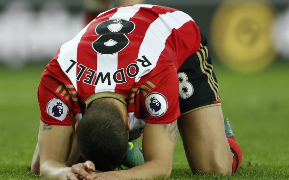 Image for Sunderland midfielder Rodwell most likely player to join Rangers next