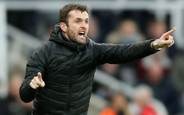 Image for Southampton: Ian McCullough drops damning verdict on rumoured manager target Nathan Jones