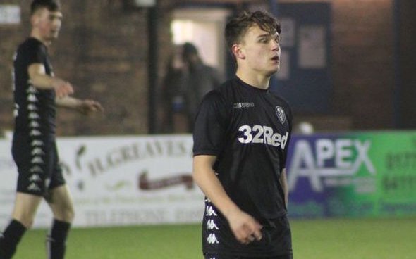Image for Leeds confirm loan exit of Sarkic