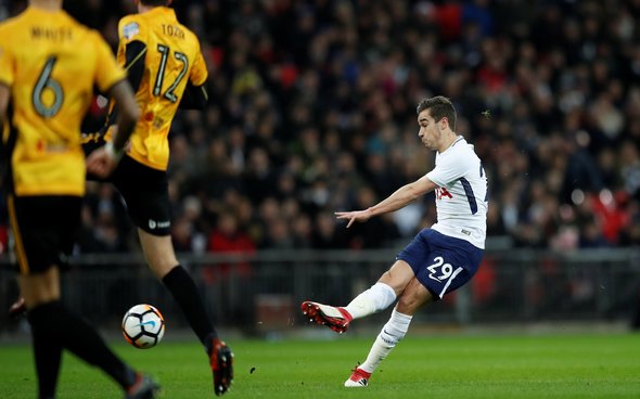 Image for Tottenham fans love Harry Winks as number eight