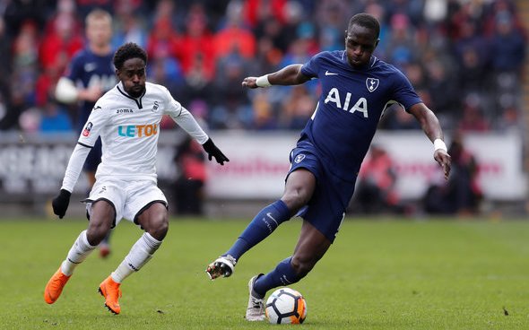 Image for Sissoko could be key for Spurs run-in