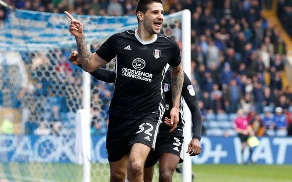 Image for Quinn relishes prospect of Lascelles Mitrovic battle