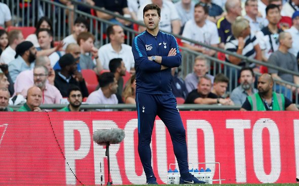 Image for Fears rising over Pochettino as February move in date for Tottenham predicted