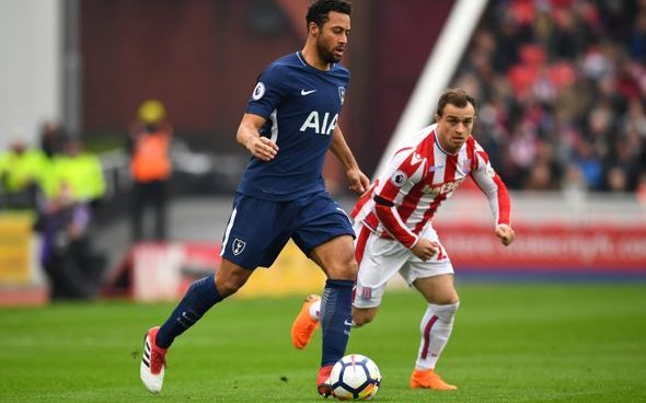 Image for Tottenham Hotspur: Fans react to club’s Mousa Dembele post
