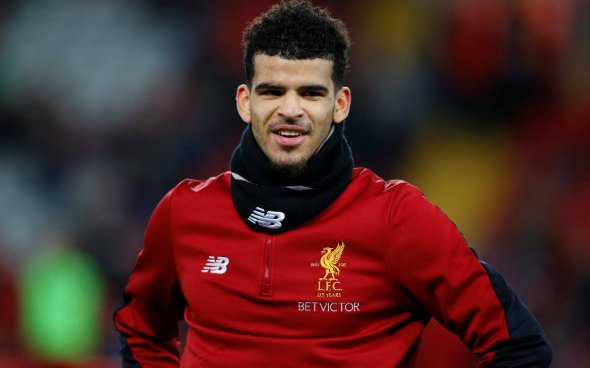 Image for Liverpool fans call for Solanke promotion