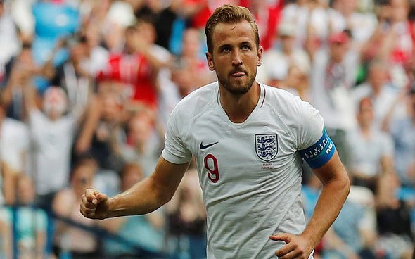 Image for Tottenham fans react as Kane plays in England v Switzerland