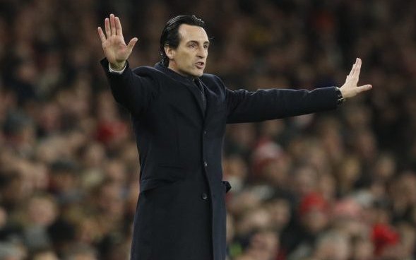 Image for Newcastle United: Fans erupt over Sky Sports’ Unai Emery update