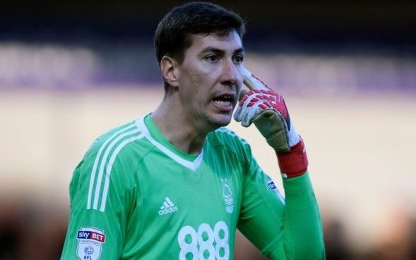Image for Forest sign goalkeeper Pantilimon