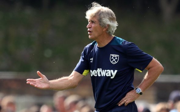 Image for Pellegrini reveals what it will take for Nasri to make it at West Ham
