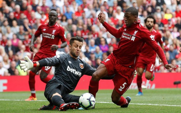 Image for Fabianski stand out star as West Ham fall below standards v Liverpool