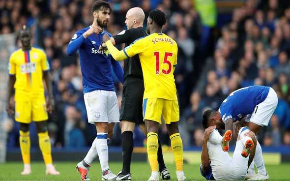 Image for Everton: Supporters react to first message from Andre Gomes since injury