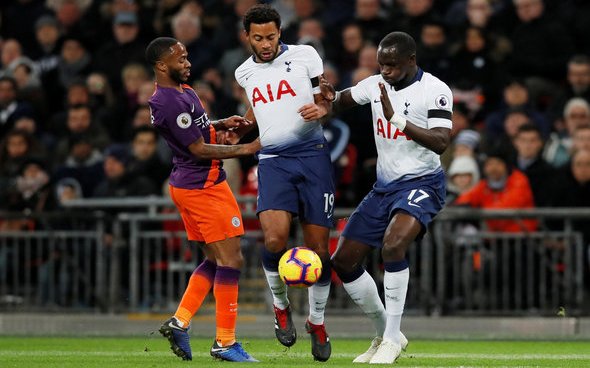 Image for Tottenham fans rave about Sissoko v Crystal Palace