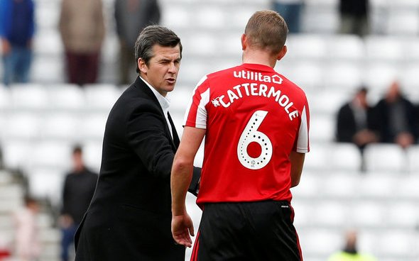 Image for West Brom would be onto a winner with Cattermole swoop