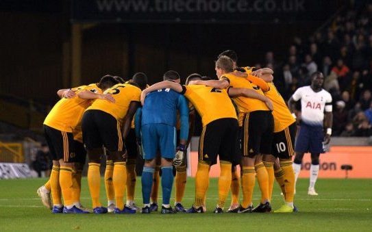 Image for Wolves: Fans react to Tim Spiers article