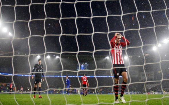 Image for Southampton fans have had it with Vestergaard after shocker v Cardiff