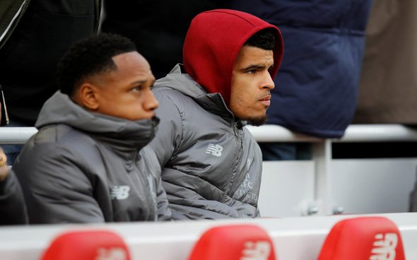 Image for Solanke injury was major stumbling block for Palace