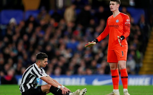 Image for Perez must adapt to sustain Newcastle career