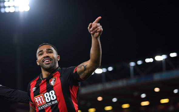 Image for Newcastle United: Fans react to an update on Callum Wilson