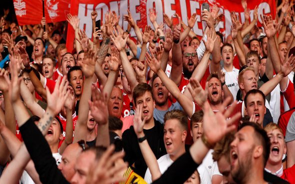 Image for Nottingham Forest fans rave over Milosevic v Brentford
