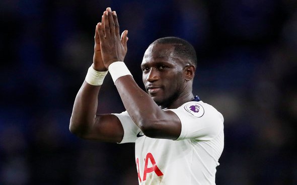 Image for Tottenham: These fans are thrilled to see Sissoko’s progress