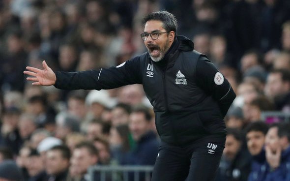 Image for Newcastle fans react to David Wagner link