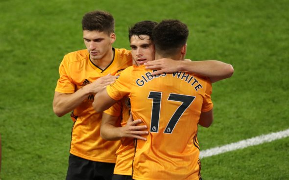 Image for Wolves: Fans gush over Pedro Neto after Twitter post