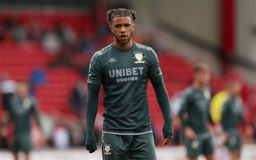 Image for Leeds United: Fans want Tyler Roberts to start