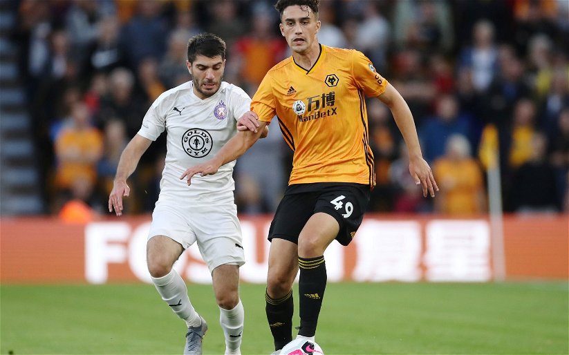 Image for Wolves: Supporters disappointed in Max Kilman’s Premier League debut