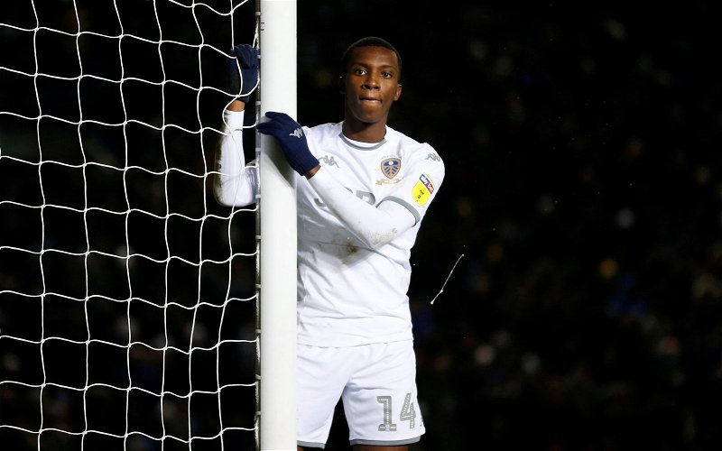 Image for Leeds: Fans react to Phil Hay update on Nketiah