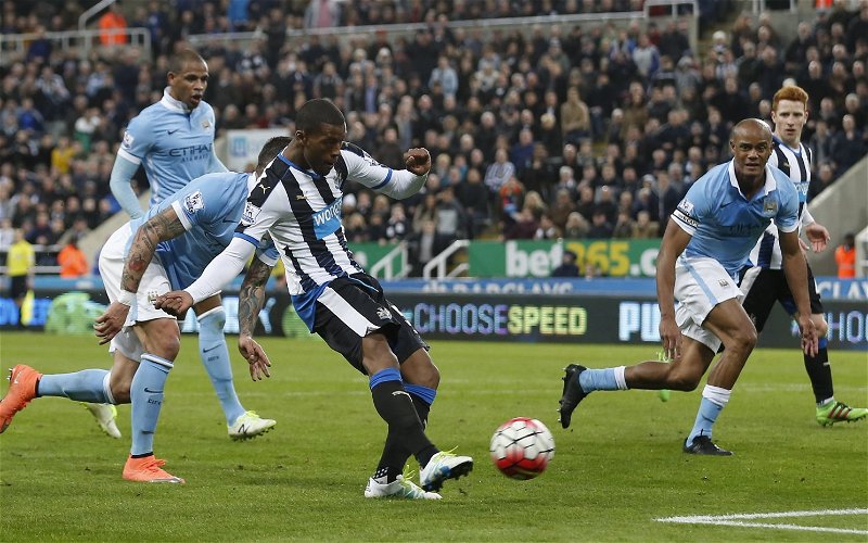 Image for Newcastle: Fans react to Wijnaldum video
