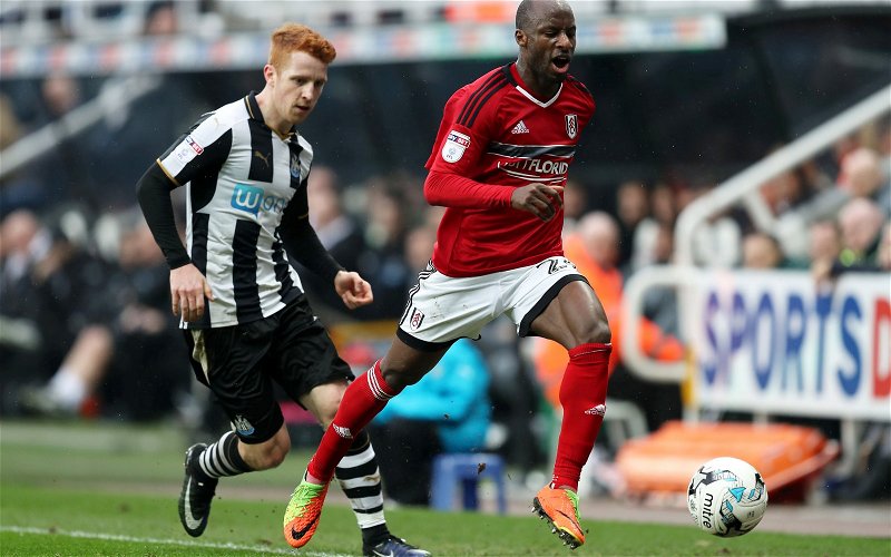 Image for Newcastle: Fans react to Colback injury