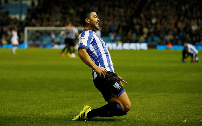 Image for Sheffield Wednesday: Some Owls fans react to Massimo Luongo update