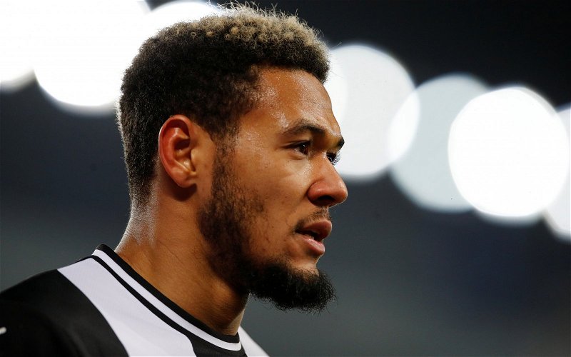 Image for Newcastle: Fans react to Joelinton performance