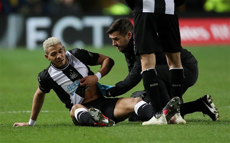 Image for Newcastle United: Fans flock following comments about Joelinton