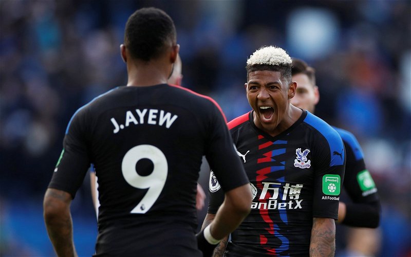 Image for Crystal Palace: These fans react to footage of players celebrating