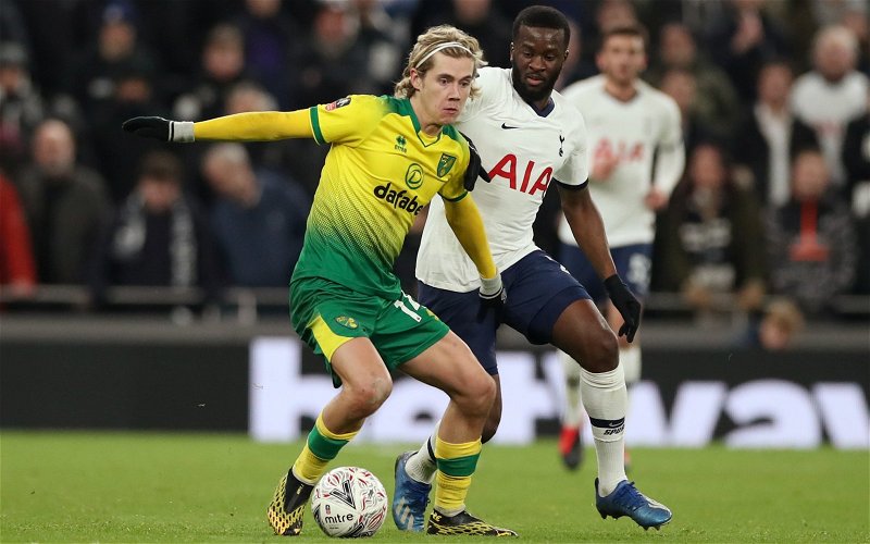 Image for Tottenham Hotspur: Fans erupt as Todd Cantwell linked with a move