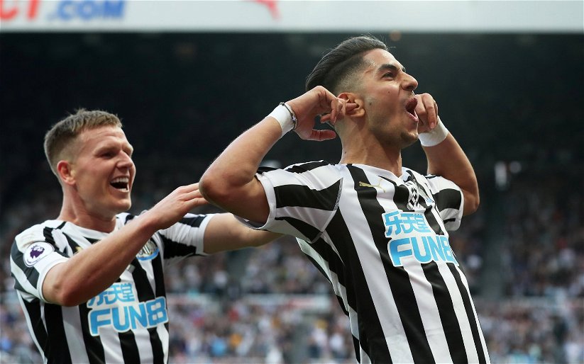 Image for Newcastle: Fans react to Ayoze Perez’s comments