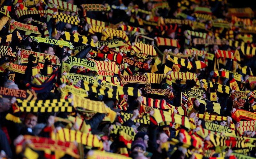 Image for Watford: Kieran Maguire discusses financial aspect of club’s managerial changes