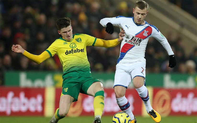 Image for Leeds United: Conor McGilligan thinks the club should sign Max Meyer