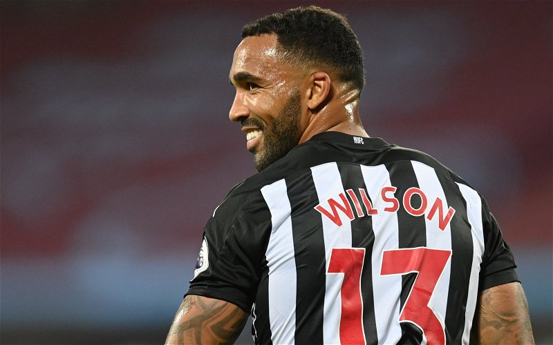 Image for Newcastle United: Pundit believes Callum Wilson’s goal should have been ruled out