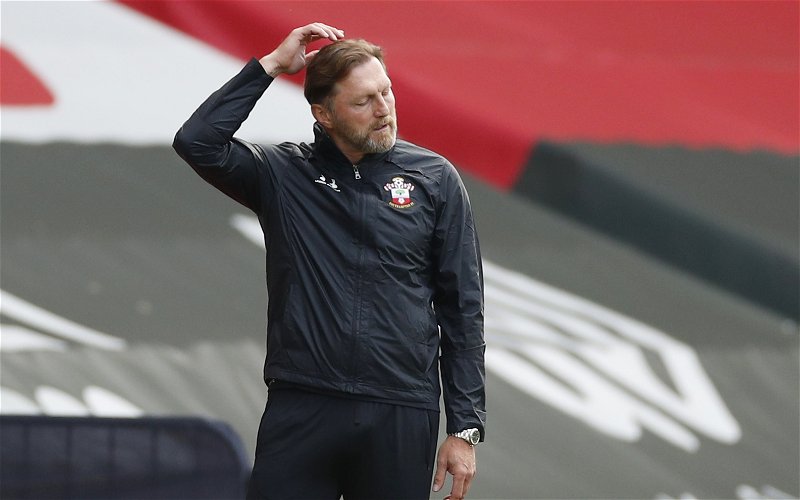 Image for Southampton: Journalist makes bold Martin Semmens claim
