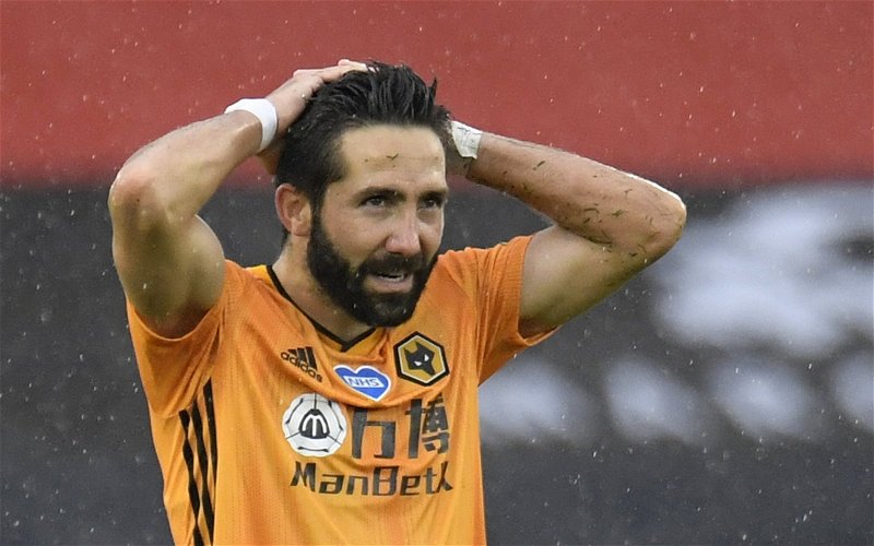 Image for Wolves: Steve Bull questions Joao Moutinho future