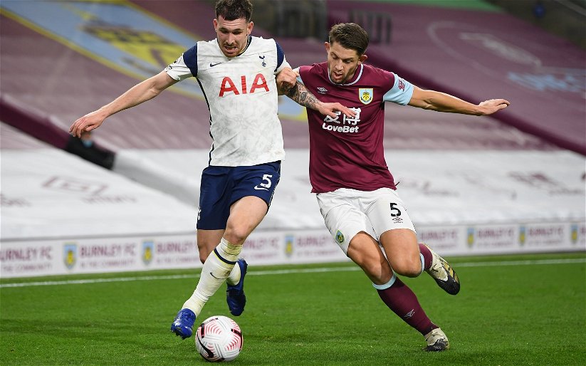 Image for Tottenham Hotspur: Fans hail Hojbjerg after Fulham win