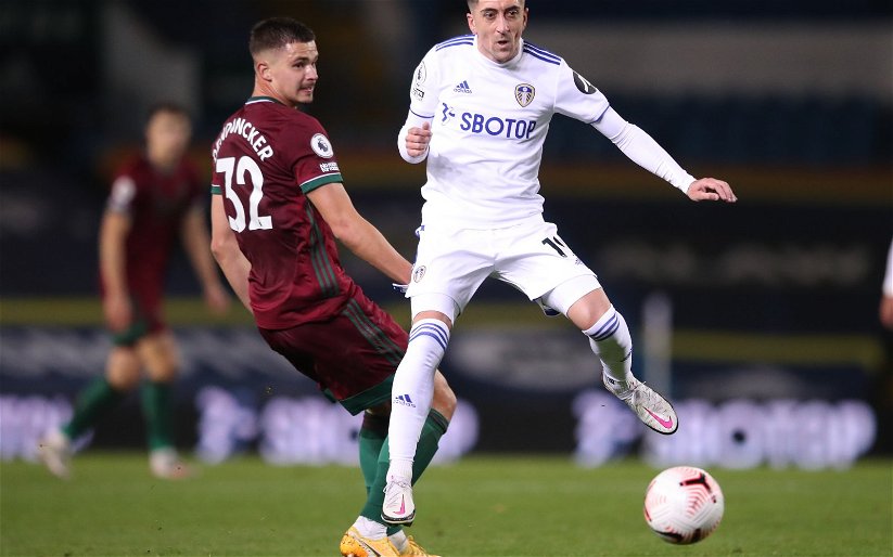 Image for Leeds United: Fans call on Marcelo Bielsa to play Pablo Hernandez more often