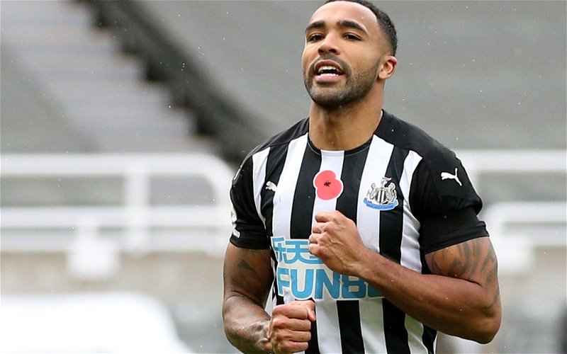 Image for Newcastle United: Callum Wilson could have been awarded penalty v Tottenham