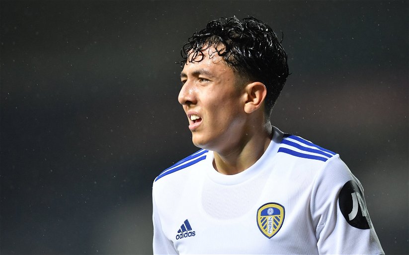 Image for Leeds United: Fans react to injury scare for Ian Poveda during U23 match