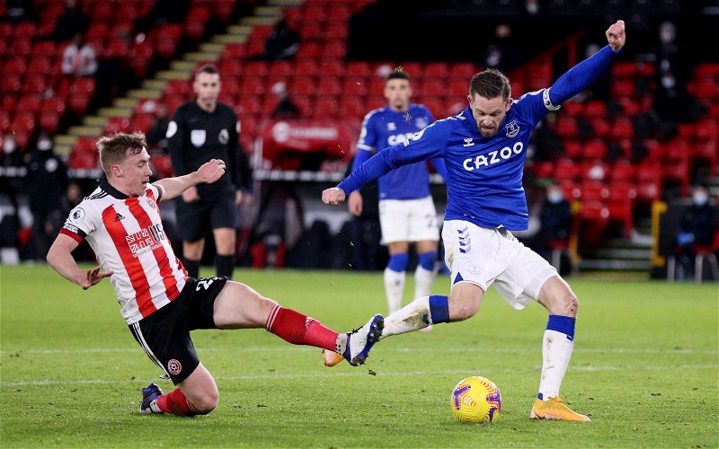 Image for Everton: David Prentice airs his thoughts on Gylfi Sigurdsson contract report