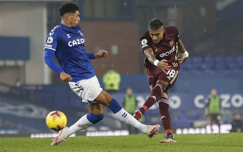 Image for Leeds United: Raphinha’s numbers during Everton loss draws plenty of praise from supporters
