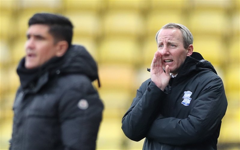 Image for Birmingham City: Fans left fuming after Lee Bowyer’s comments on Kristian Pedersen