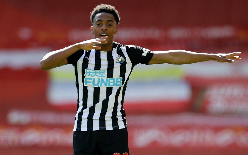 Image for Newcastle United: Fans react to latest news about Joe Willock